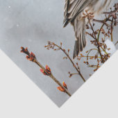 House Finch in Snow - Originele foto Tissuepapier (Detail)