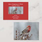 House Finch in Snow - Originele foto Visitekaartje (Voorkant / Achterkant)
