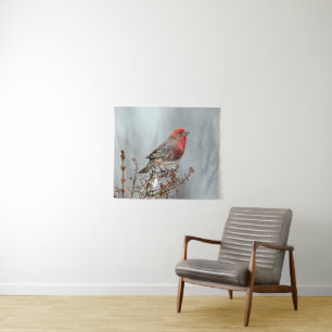 House Finch in Snow - Originele foto Wandkleed