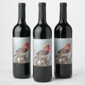 House Finch in Snow - Originele foto Wijn Etiket (Flessen)