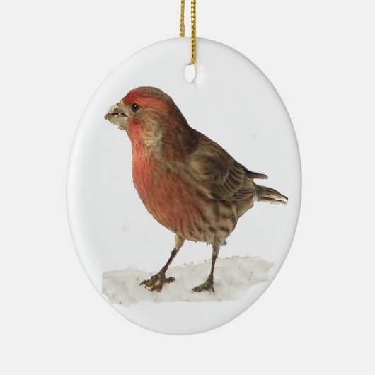 House Finch Keramisch Ornament (Rechts)