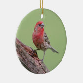 House Finch Keramisch Ornament (Rechts)