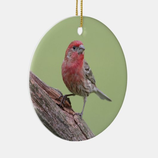 House Finch Keramisch Ornament (Rechts)