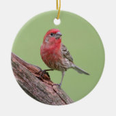 House Finch Keramisch Ornament (Voorkant)