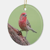 House Finch Keramisch Ornament (Links)