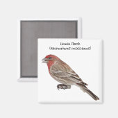 House Finch Magneet (Voorkant / Achterkant)