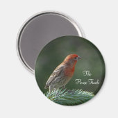 House Finch Magnet (Voorkant / Achterkant)