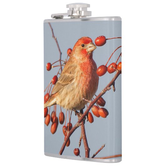 House Finch met Hawthorn Berries Heupfles (Links)