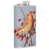 House Finch met Hawthorn Berries Heupfles (Rechts)