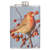 House Finch met Hawthorn Berries Heupfles (Voorkant)