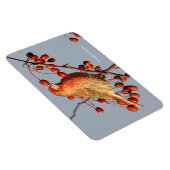 House Finch met Hawthorn Berries Magneet (Rechterzijde)