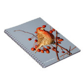 House Finch met Hawthorn Berries Notitieboek (Rechterzijde)