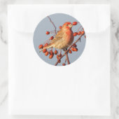House Finch met Hawthorn Berries Ronde Sticker (Tas)