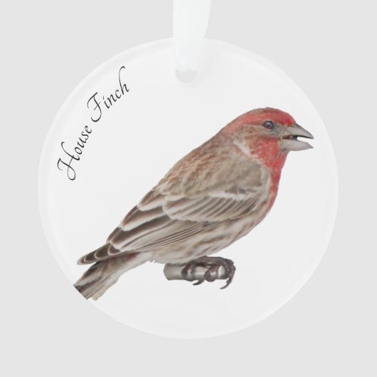 House Finch Ornament (voorkant)