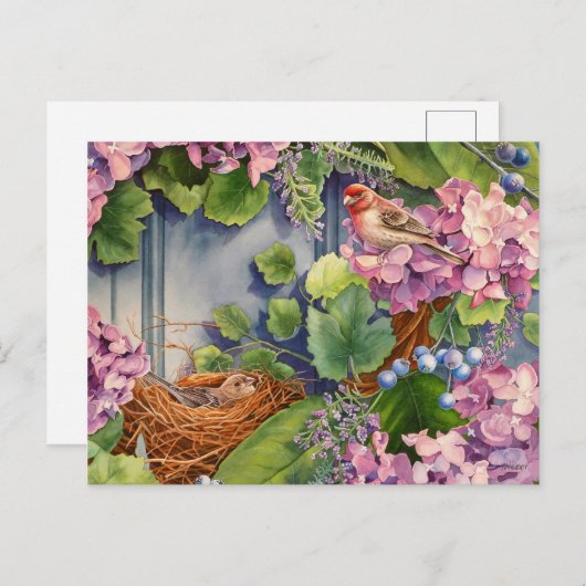 House Finch Pair Nest in Wreated Waterverf Art Briefkaart (Voorkant / Achterkant)