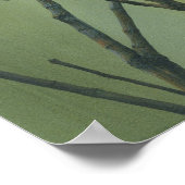 House Finch Poster (Hoek)