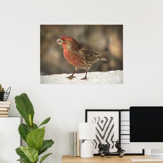 House Finch Poster (Thuiskantoor)