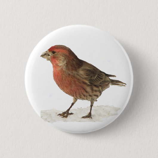House Finch Ronde Button 5,7 Cm (Voorkant)