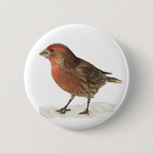 House Finch Ronde Button 5,7 Cm