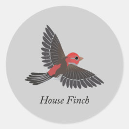 House Finch Ronde Sticker