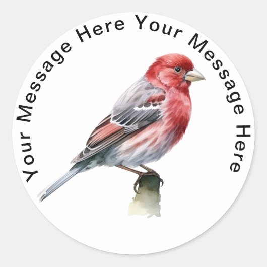 House Finch Ronde Sticker (Voorkant)