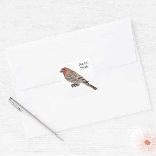 House Finch Vierkante Sticker (Envelop)