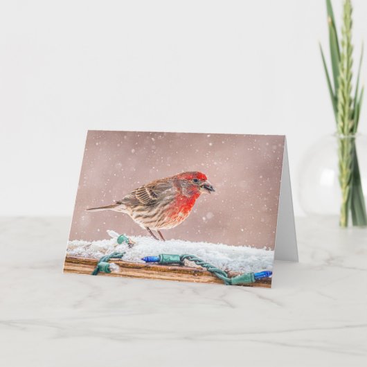 House finch with seed Christmas Card Feestdagen Kaart (Voorkant)