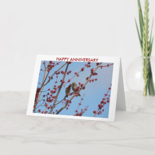House Finches, Liefde tussen de knoppen 2, HAPPY A Kaart