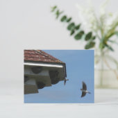 House Martins bij Nest Box DIY Briefkaart (Staand voorkant)
