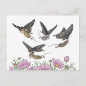 House-Mouse Design® Briefkaart (Voorkant)