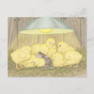 House-Mouse Design® - Postkaarten