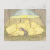 House-Mouse Design® - Postkaarten (Voorkant)