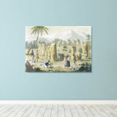"House of the Ancients", eiland Tinin, bord 3 Canvas Afdruk (Insitu (Houten vloer))