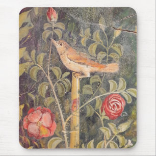 House of the Golden Bracelet, Pompeii Muismat