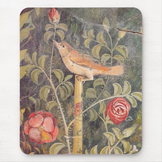 House of the Golden Bracelet, Pompeii Muismat (Voorkant)