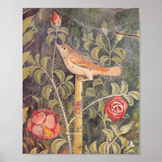 House of the Golden Bracelet, Pompeii Poster (Voorkant)