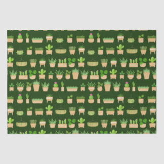 House Planten Cactus on Dark Green Tissue Paper Tissuepapier