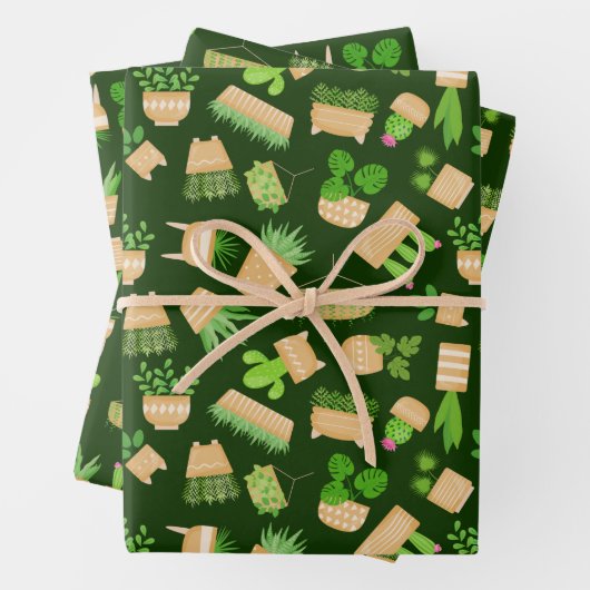 House Planten Cactus on Dark Green Wrapping Paper  (In situ)
