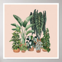 House Planten Illustratie 4