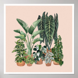 House Planten Illustratie 4 Poster