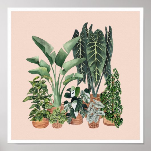 House Planten Illustratie 4 Poster (Voorkant)