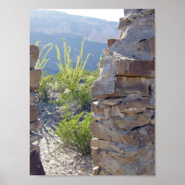 House ruin, Big Bend National Park, Texas Poster