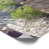 House ruin, Big Bend National Park, Texas Poster (Hoek)