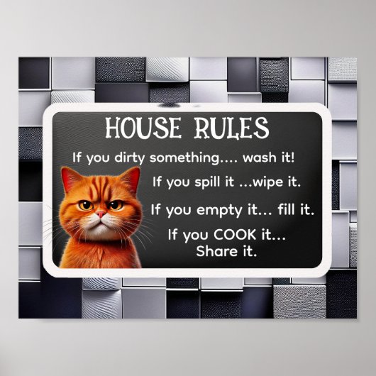 HOUSE RULES beroemd gemaakt door The Cat Influence Poster (Voorkant)