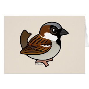 House Sparrow