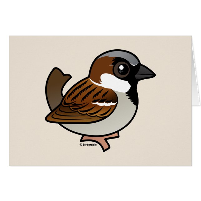 House Sparrow (Voorkant Horizontaal)