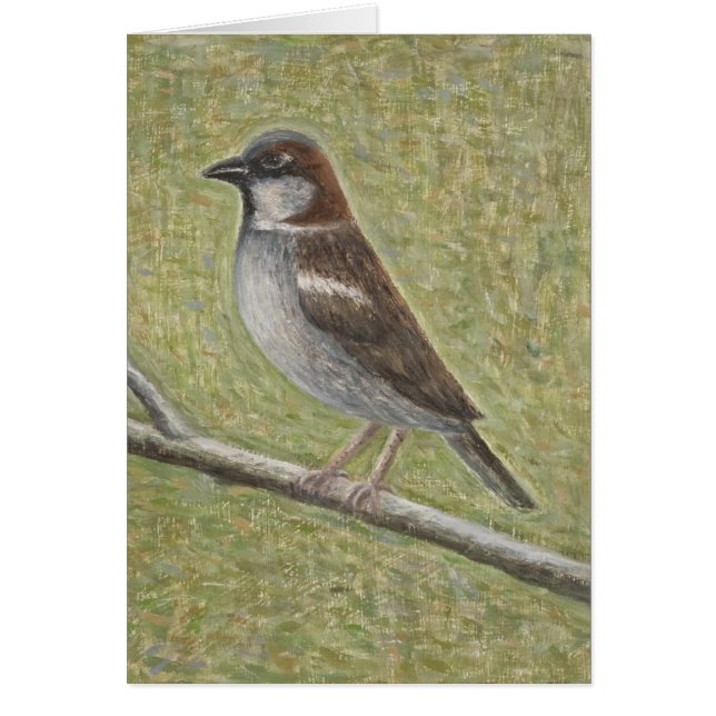 House Sparrow 2008 (Voorkant)