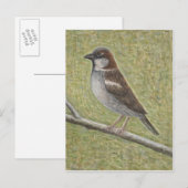 House Sparrow 2008 Briefkaart (Voorkant / Achterkant)