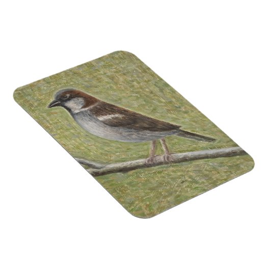 House Sparrow 2008 Magneet (Rechterzijde)