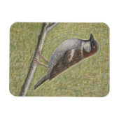 House Sparrow 2008 Magneet (Horizontaal)